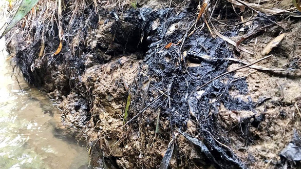  Hiện trường dầu bị đổ trộm xuống con suối ở xã Phú Minh, huyện Kỳ Sơn, tỉnh Hòa Bình chảy thẳng vào hồ Đầm Bài, nơi đầu nguồn cấp nước cho nhà máy nước sạch sông Đà - Ảnh: tuoitre